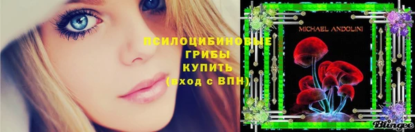 шишки Абинск