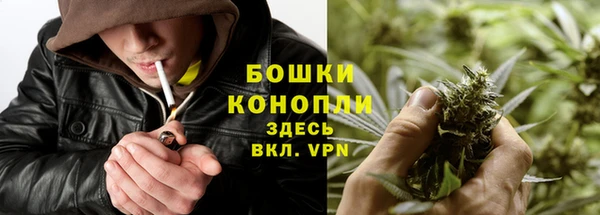 стаф Абдулино