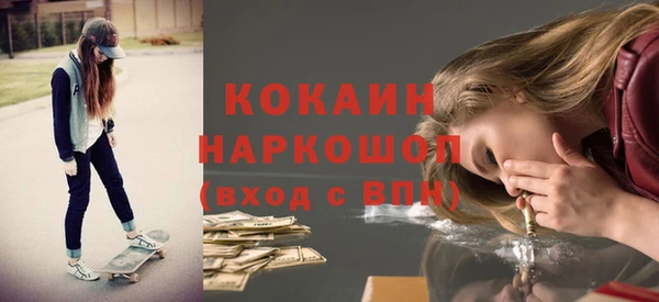 шишки Абинск