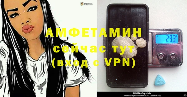 прущие грибы Сатка