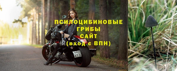 шишки Абинск