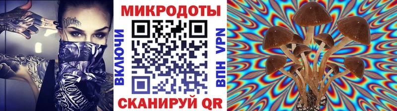 Псилоцибиновые грибы GOLDEN TEACHER  купить наркоту  гидра ссылки  Лесозаводск 