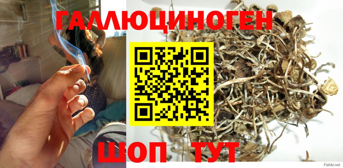 Лесозаводск  Псилоцибиновые грибы GOLDEN TEACHER  Галлюциногенные грибы MAGIC MUSHROOMS  Вход с VPN 